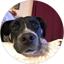 Suzanne D profile picture
